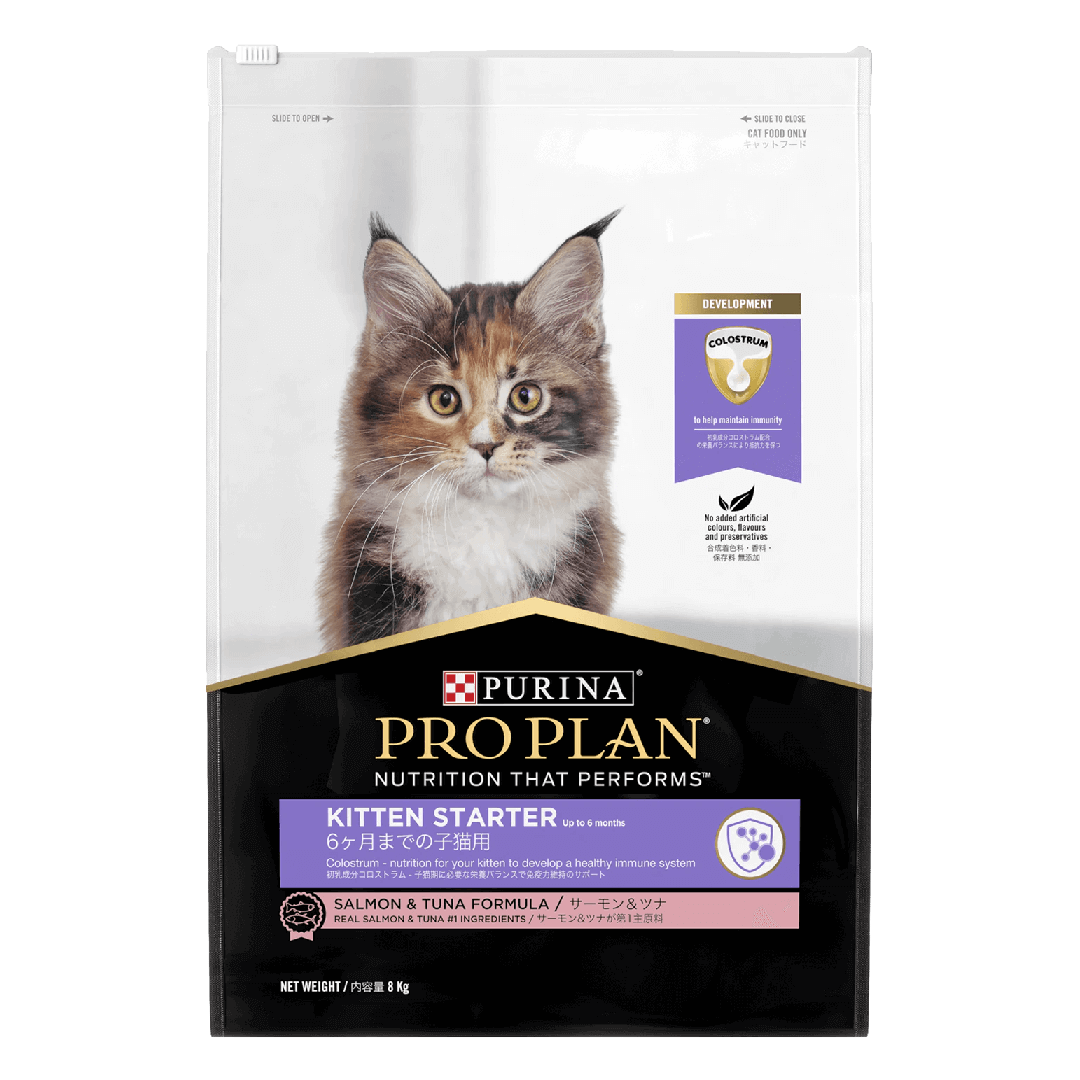 Kitten starter store
